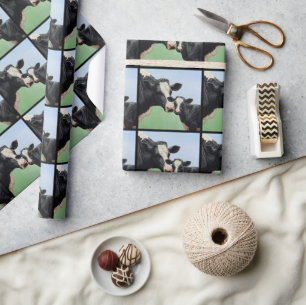 Black Holstein Cow & Cute Calf Presentpapper
