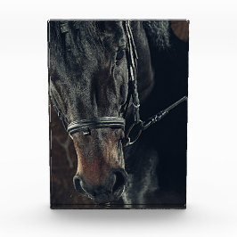 Black Horse