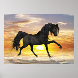 Black Horse 28 tum x 20 tum, Value Poster (projekt