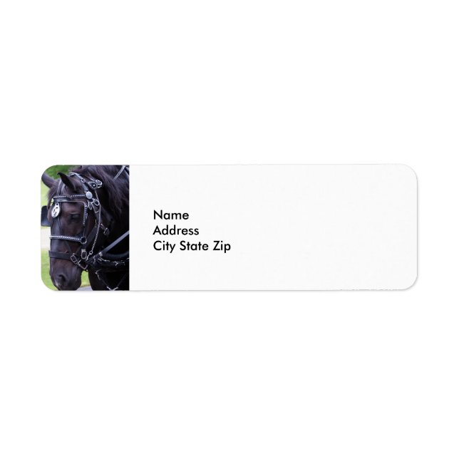 Black Horse 384 Returadress Etikett (Framsidan)