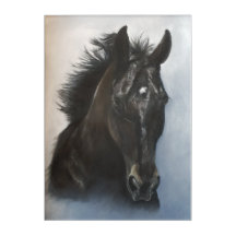 Black Horse Acrylic Artwork