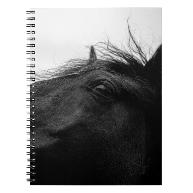 BLACK HORSE ANTECKNINGSBOK (Framsidan)