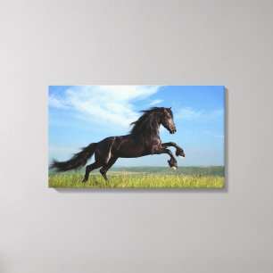 Black Horse Canvastryck