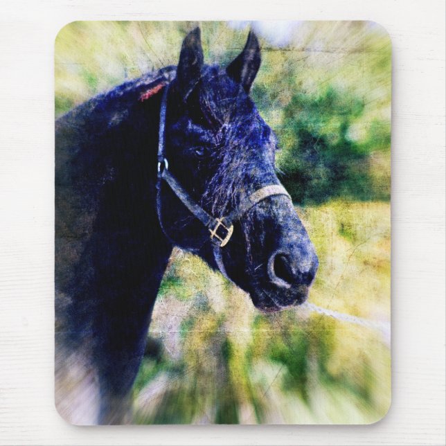 Black Horse Digital Art Musmatta (Framsidan)
