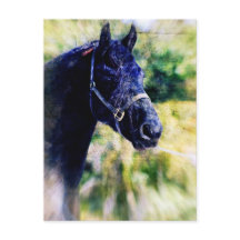 Black Horse Digital Art