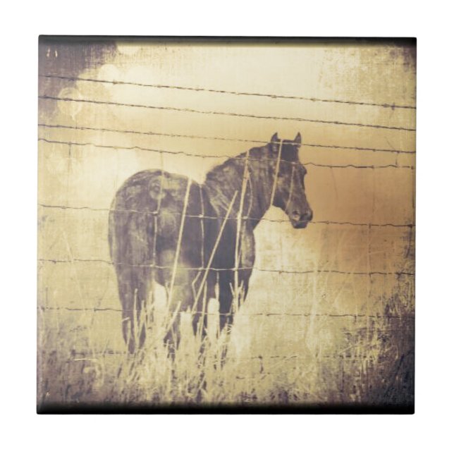 Black Horse Grunge Kakelplatta (Framsidan)