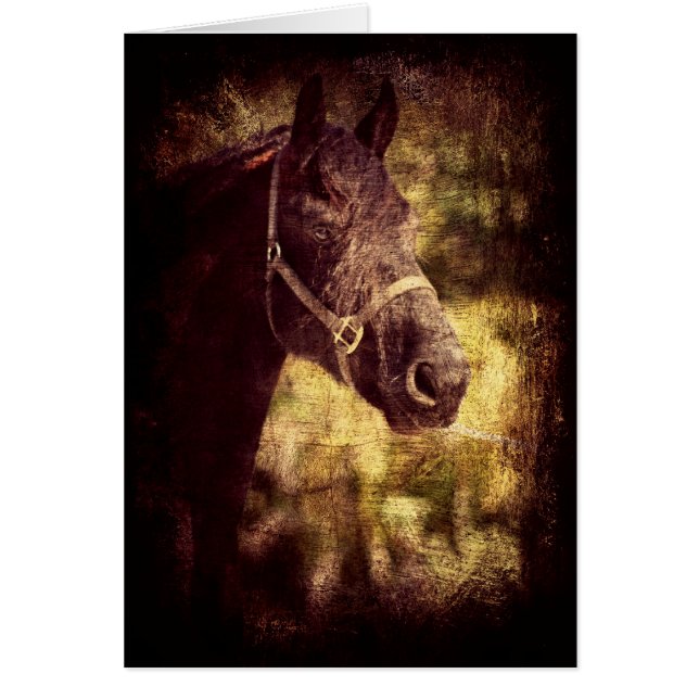 Black Horse Hälsningskort (Framsidan)