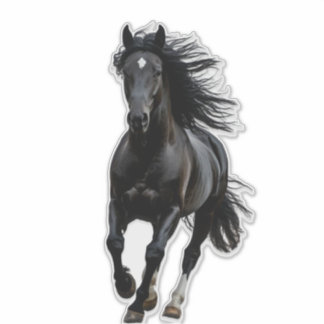 Black horse klistermärken
