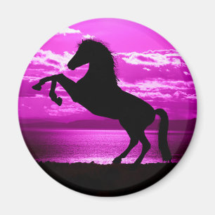 Black Horse Lila Himlar och Vatten Magnet