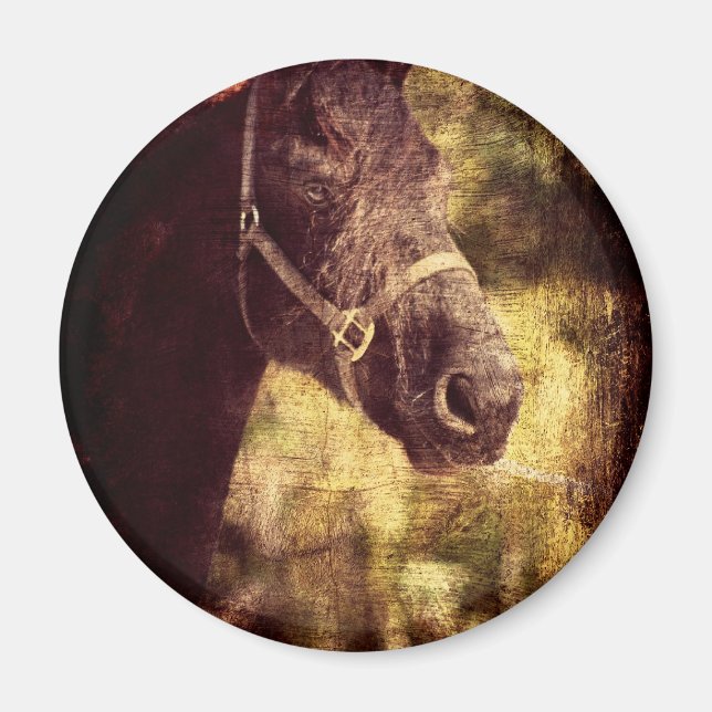 Black Horse Magnet (Framsidan)