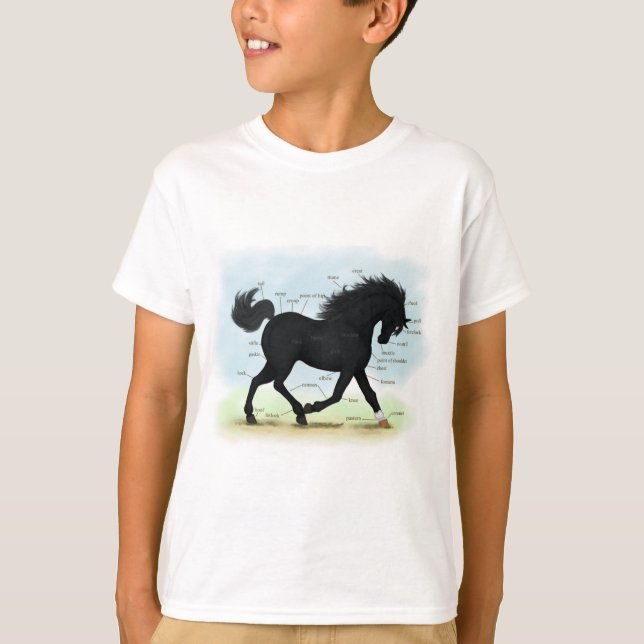 Black Horse med Star & Sock Anatomy Chart T Shirt (Framsida)