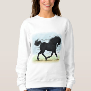 Black Horse med Star & Sock Anatomy Chart T Shirt