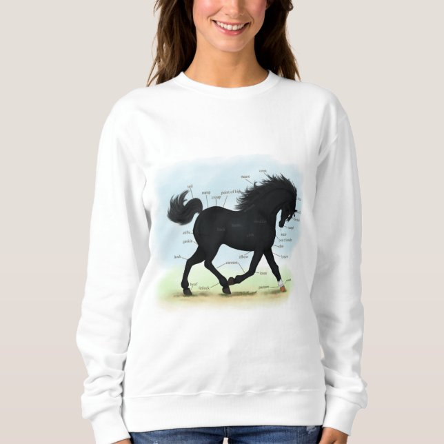 Black Horse med Star & Sock Anatomy Chart T Shirt (Framsida)
