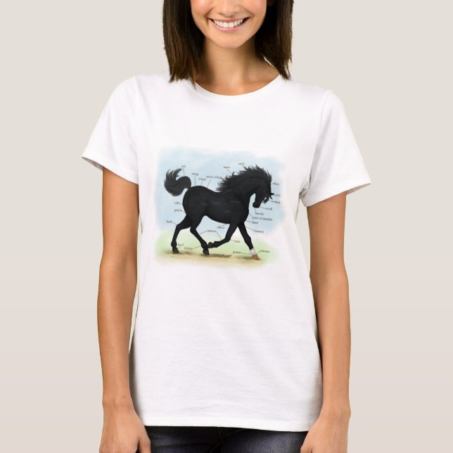 Black Horse med Star & Sock Anatomy Chart T Shirt (Framsida)