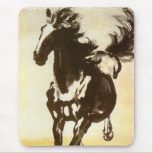 Black Horse Musmatta