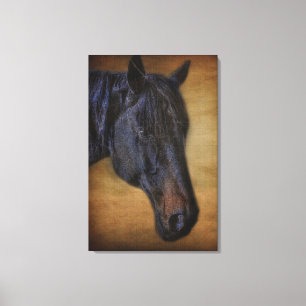 Black Horse Porträtt på Rustic Parchment, effekt Canvastryck