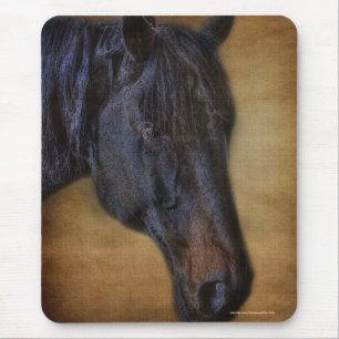 Black Horse Porträtt på Rustic Parchment, effekt Musmatta