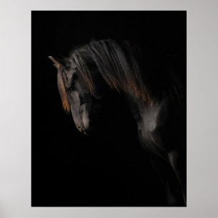 Black Horse Poster