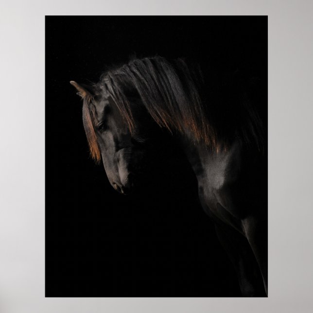 Black Horse Poster (Framsidan)