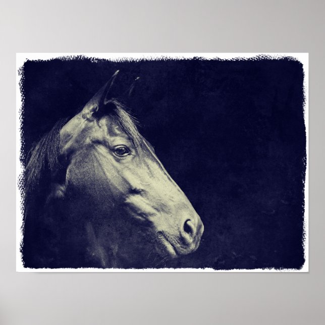 Black Horse Poster (Framsidan)