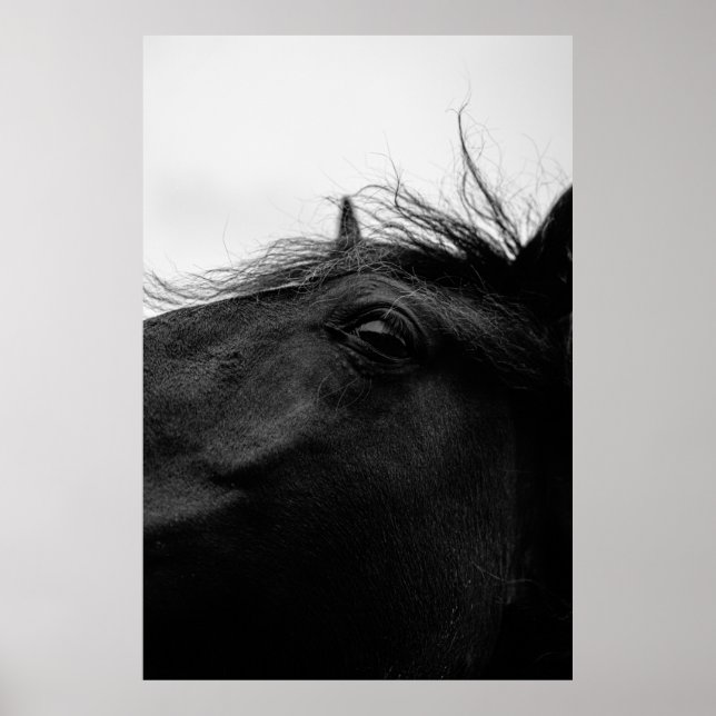 BLACK HORSE POSTER (Framsidan)
