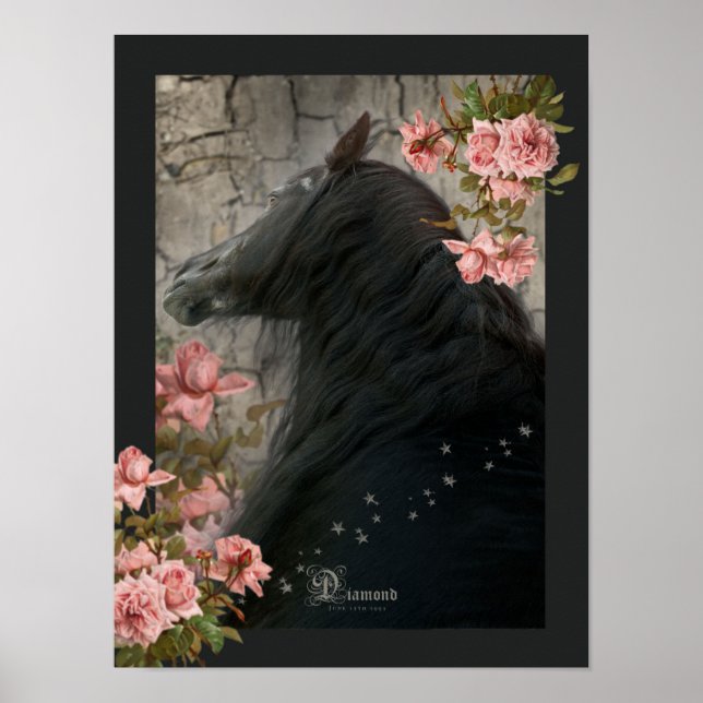 Black Horse - Poster (Framsidan)