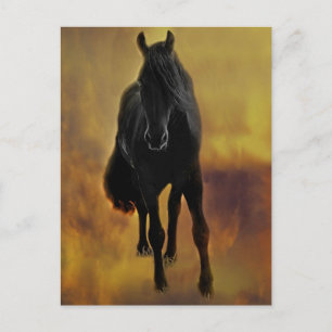 Black Horse Silhouette Vykort