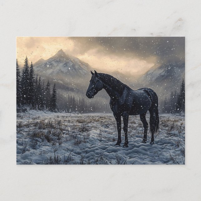 Black Horse Snowy Ligcape Scenia Vykort (Framsida)