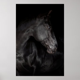 Black Horse Stallion Photo Nature Wall Poster