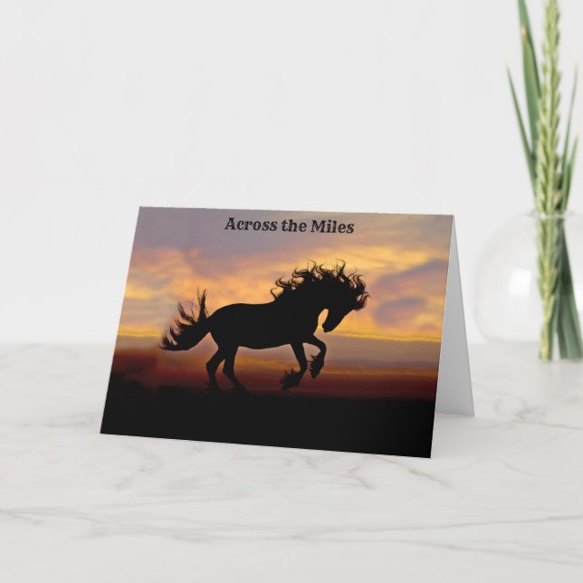 Black Horse Sunset Greeting Card över miles Tack Kort (Framsida)