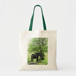 BLACK HORSE TYGKASSE