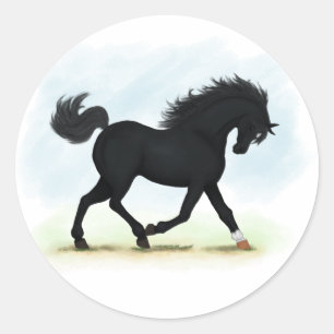 Black Horse with Star & Sock (Black Beauty) Runt Klistermärke