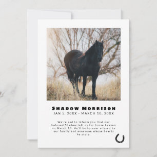 Black Horseshoe Horse Loss Photo Announcement Meddelande
