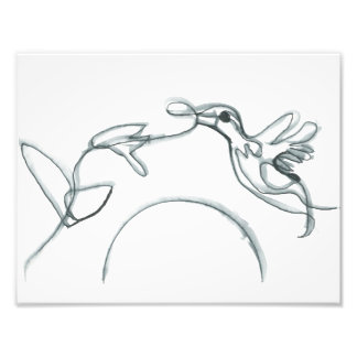 Black Hummingbird Fototryck