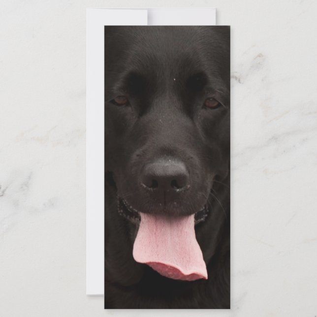 Black hund ansikte (Framsida)