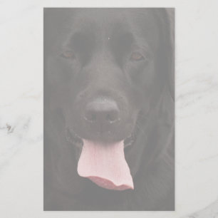 Black hund ansikte brevpapper