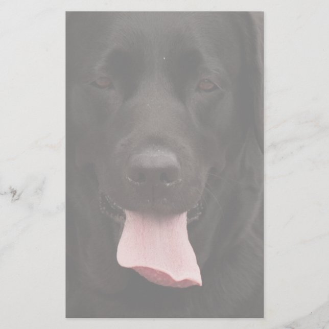 Black hund ansikte brevpapper (Framsida)