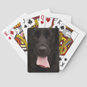 Black hund ansikte casinokort