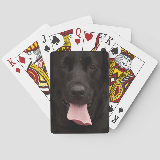 Black hund ansikte casinokort (Baksidan)
