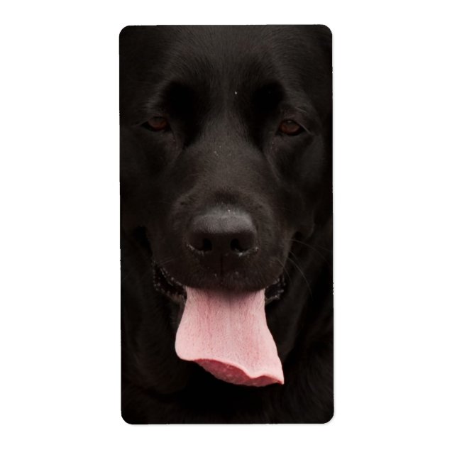 Black hund ansikte fraktsedel (Framsidan)