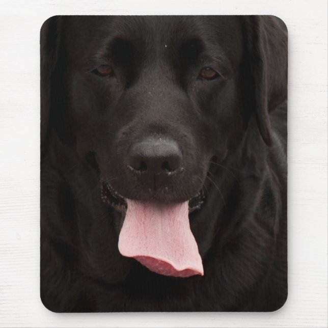 Black hund ansikte musmatta (Framsidan)