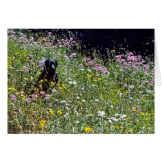 Black Hund in Flowers Hälsningskort