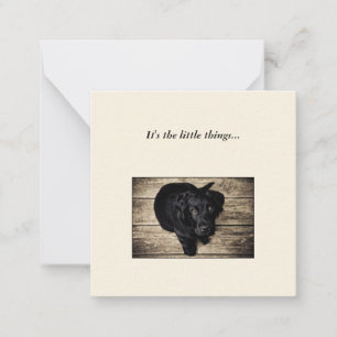 Black Hund Mini Tackkort Card Anteckningskort