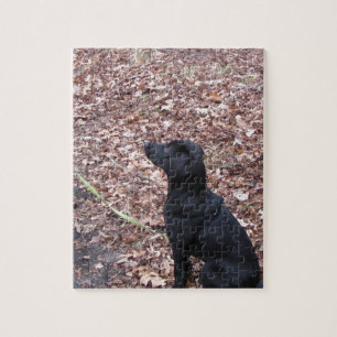 Black Hund Photo Pussel