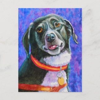 Black Hund Raspberry Vykort