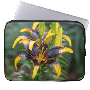 Black Hybrid Asiatic Lily, Mörk Bloom Photo Laptop Fodral
