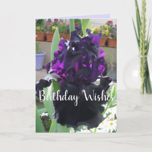 Black Iris Flower Blommigt Photo Kärlek Birday Car Kort