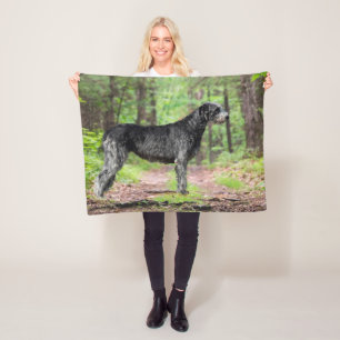 Black Irish Wolfhound Posing i skogen Fleecefilt
