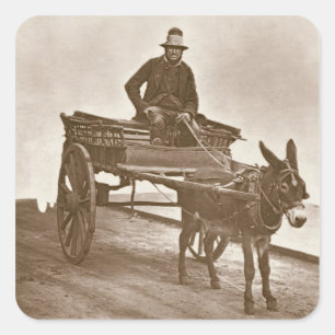Black Jack, från "Street Life in London", 1877-78 Fyrkantigt Klistermärke