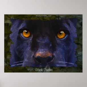 BLACK JAGUAR ~ BLACK PANTHER större Art Print Poster